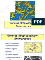 Streptococcus Enterococcus