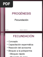 Download Fecundacin by Estudiantes de Veterinaria Primer ao 2009 SN15280348 doc pdf