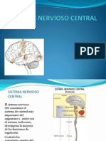 Sistema Nervioso Central