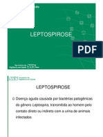 Apresentacao Lepto