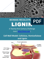 LIGNIN Biomass Recalcitrane