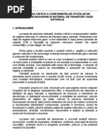 Download Analiza Critica a SRM by catarsis4you SN152839955 doc pdf