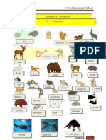 WWW - Shas.myportal - My: Examples of Vertebrate 1.0 Mammals