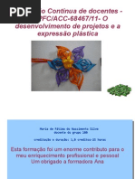 desenvolvimento de projetos e a expressão plástica- formação contínua professores