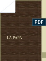 Monografia Final de Lenguaje La Papa