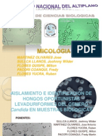 Mico Clinica Levadurasc