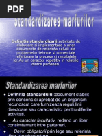 Accidentul Nuclear De La Tokaimura