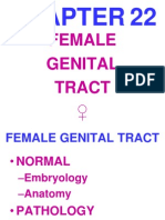 Female Genital Tract
