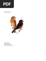 Manual para criação de curió.pdf