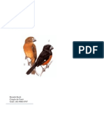 Manual para Criação de Curió PDF