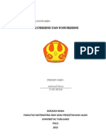 Tugas Analisis Instrumen Fluoresensi Dan Fosforesensi