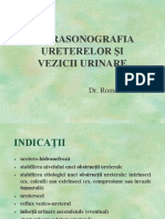 18 Ureter Vezica Curs Ecogen