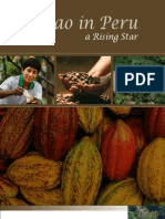 Cacao en Peru