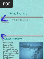 REINO PROTISTA