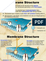 cell membrane and passive transport edit ba