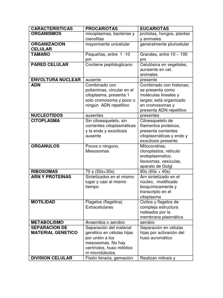 Diferencias entre Bacterias y Archaea | PDF | Las bacterias | Archaea