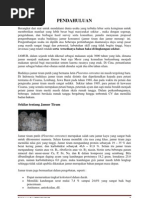 Download proposaljamur-120115110354-phpapp01 by Ogie Satriadi SN153083517 doc pdf