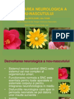 Dezvoltare Neuro Chisinau