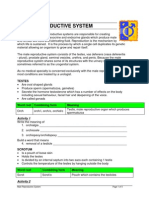 Microsoft+Word+-+7+Male+Reproductive+System 2 PDF