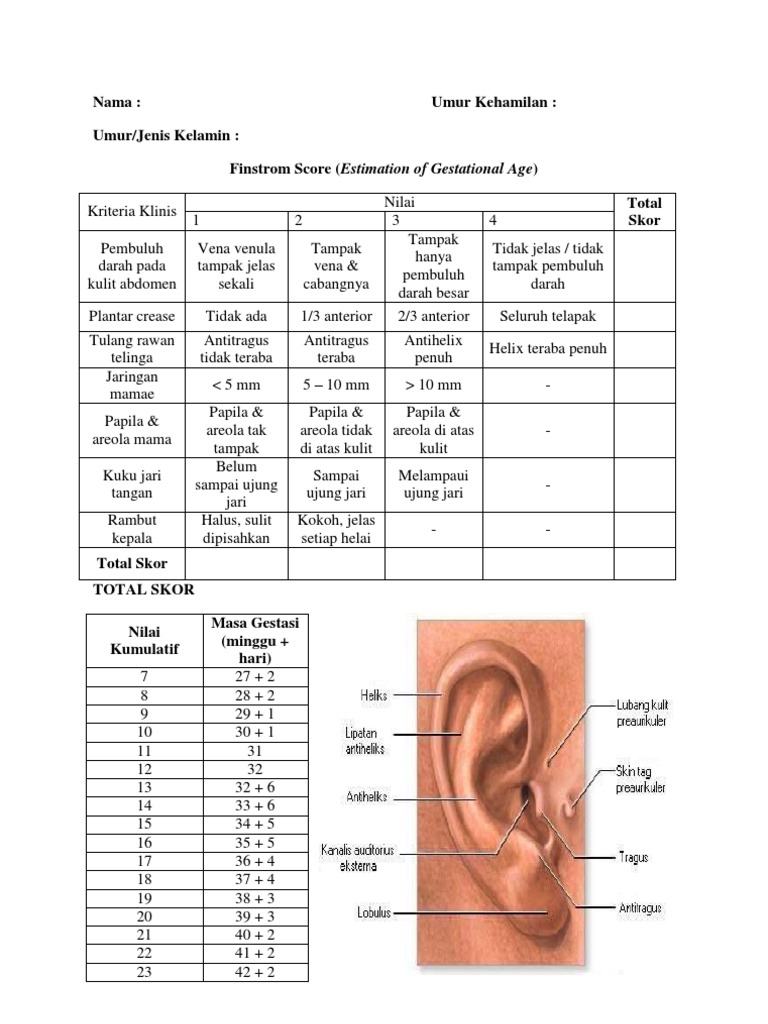 Psc-17 Printable - Printable Word Searches