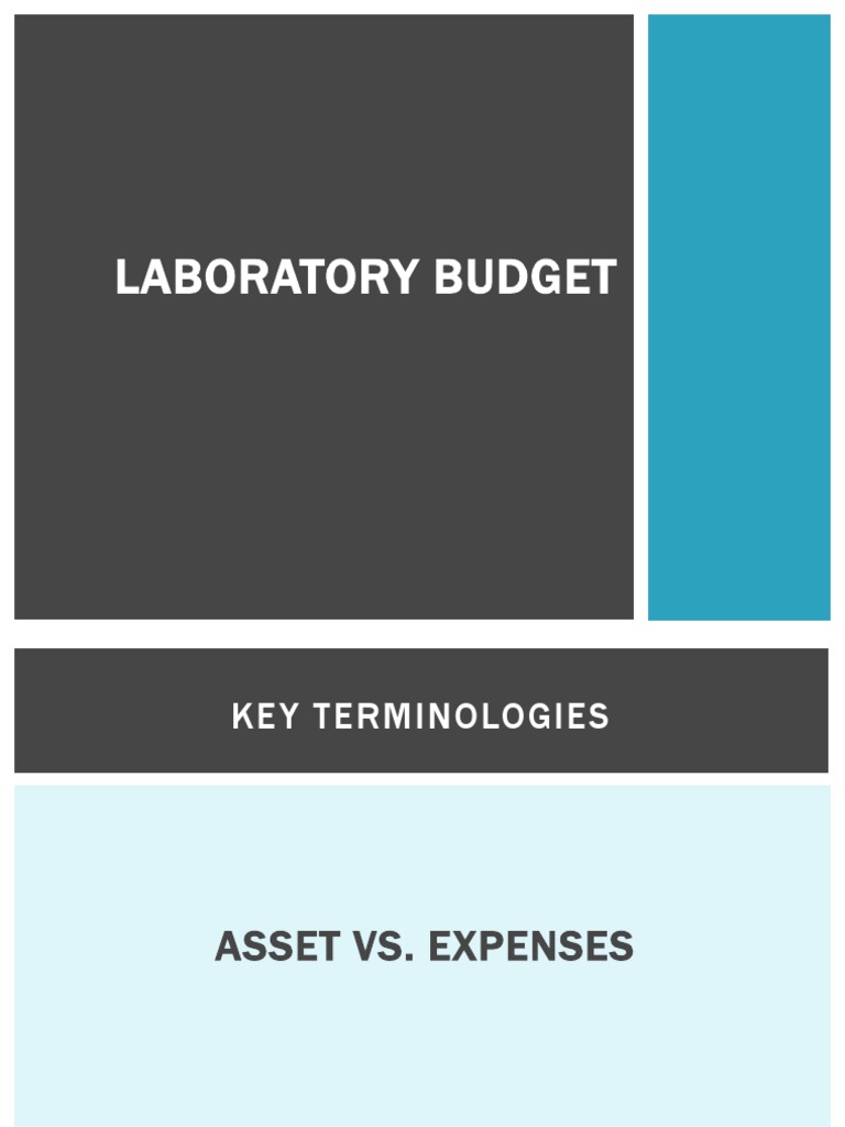 Laboratory Budget Powerpoint Net Present Value Economics