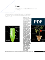 Transport in Plants