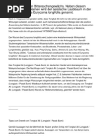 Tongkat Ali ist ein Bittereschengewächs. Neben diesem volkstümlichen Namen wird der asiatische Laubbaum in der Botanik ebenfalls Eurycoma longifolia genannt.