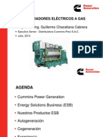 Exposición UN CALLAO CPG Energy Solutions