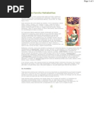 Ayur- Os Cinco Elementos