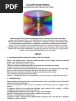 Selamento Dos Chakras