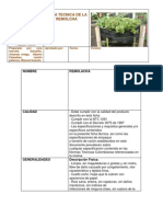 Ficha Tecnica de La Remolacha