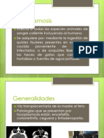 Toxoplasma Gondii