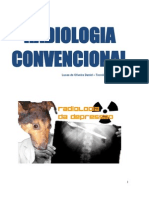 Radiologia Convencional