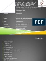 Producto Pato 2 Unidad-A PDF