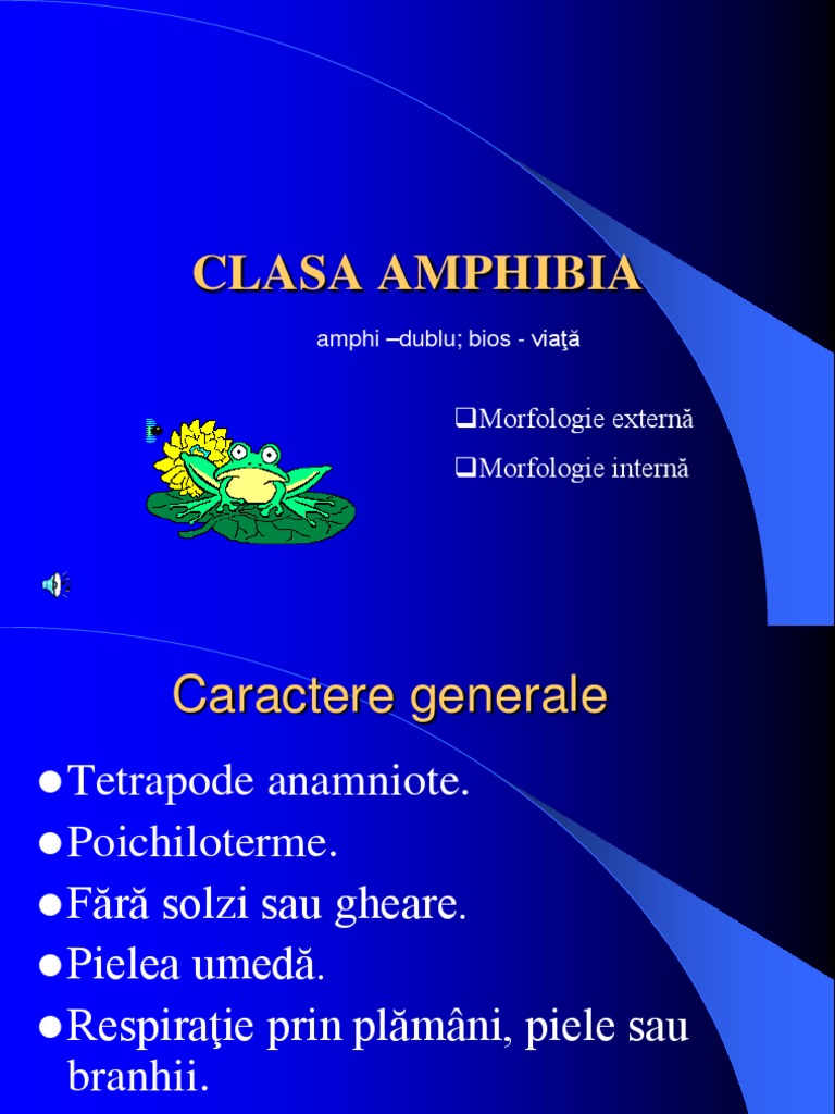 Clasa Amphibia | PDF
