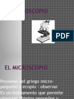 Exp Biologia