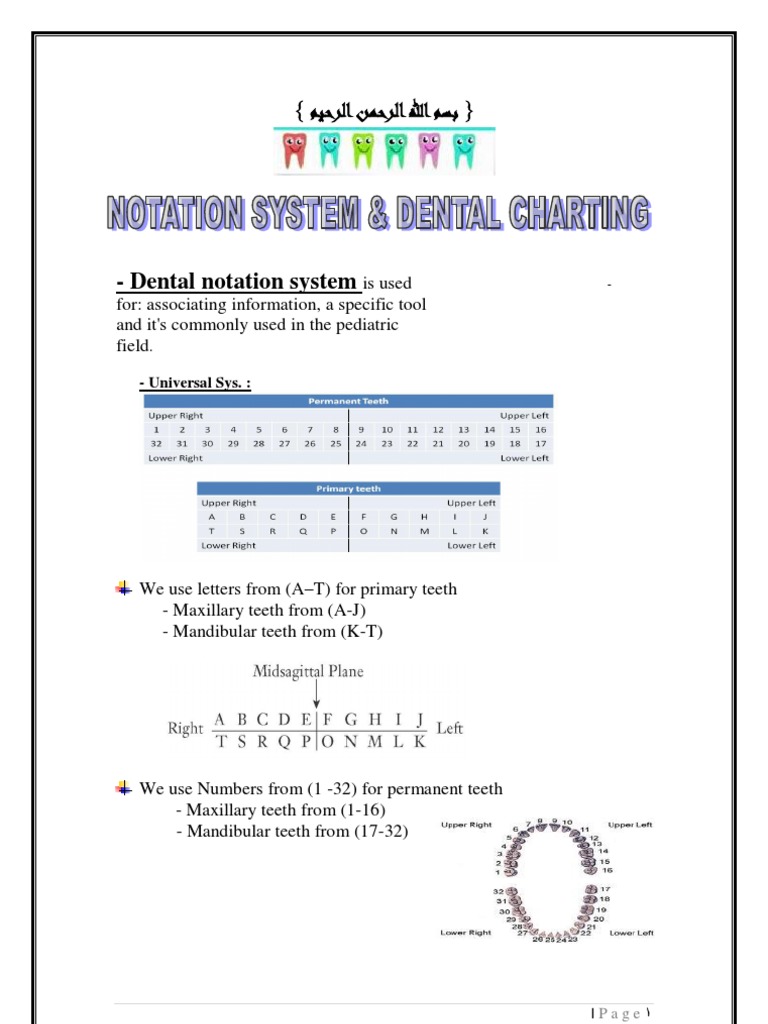 Pedeatric Dentistry 2 | PDF | Foreign Language Studies | Wellness