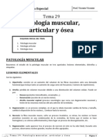 Tema-29.-Patología-muscular-articular-y-ósea.1.pdf