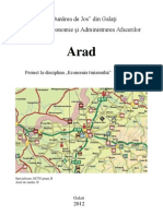 Arad prezentare turism economic