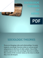 Sociologic Theory Presentation.. Powerpoint