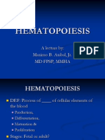 02 Hematopoiesis