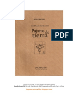 PÃ¡jaros de Tierra - HernÃ¡n Schillagi - PDF