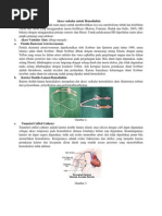 Download Akses Vaskular Untuk Hemodialisis by Luckyoluz Ramanda Msi SN153378707 doc pdf