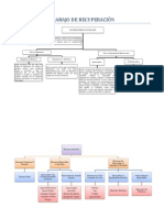 Recursos Naturales (Organizadores Graficos)