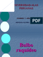 Bulbo Raquidioa Grupo 7