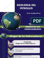 GEOLOGIA DEL PETROLEO. Origen de Los Hidrocarburos Defpptx