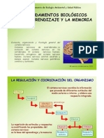 4-Sistema Nervioso. Central PDF