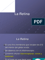 2 Retina
