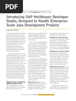 Introducing SAP NetWeaver Developer Studio