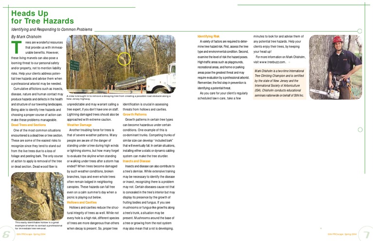 Tree Hazards Pdf Trees Hazards